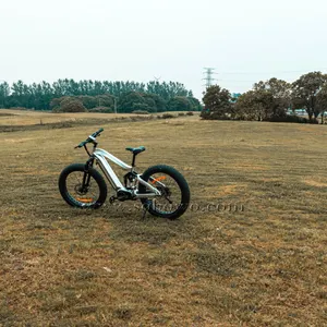 فاز التعليق الكامل e دراجة جبلية من متوسط W محرك bafang ebike shimano 48v bicicicleta electrica