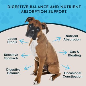 Golosinas Masticables de Vitamina D y Calcio de Marca Privada ODM/OEM para Perros y Gatos con Digestión Sensible - Buenas para la Salud Intestinal - Product Image 2