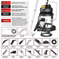 Nettoyeur vapeur électrique portable 220V pour tapis et canapés, machine de nettoyage intérieur de voiture, usage commercial et domestique