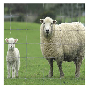 Rouleau de clôture en fil tressé pour chèvres, moutons, bovins, clôture en fil métallique galvanisé pour ferme - Product Image 2