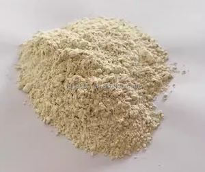 Lysinhcl飼料グレード98.5% - Product Image 3