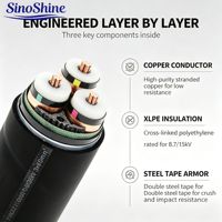 Kabel Daya Tegangan Menengah 0.6/1kV Tembaga XLPE PVC 2 3 4 5 Inti 2.5mm 6mm 10mm untuk Pasokan Listrik di Lokasi Konstruksi