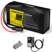 Batterie Li-ion 24V 10Ah 240Wh pour appareils électriques, piano, instruments médicaux, stockage d'énergie solaire, onduleur DIY 7S2P – En stock