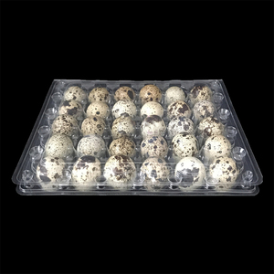 24 30 cells quail egg tray PVC plastic clear egg packaging estuches para huevo de codorniz
