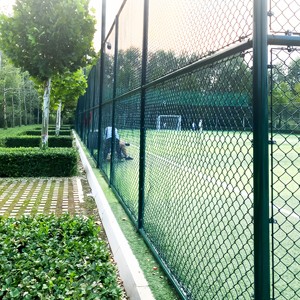 Ampliamente utilizado Baloncesto Fútbol Tenis Bádminton Cancha Escuela Deportes Parque infantil Valla de red de alambre de enlace de cadena de alta resistencia - Product Image 1