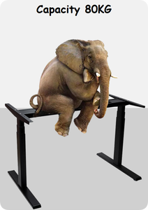 <span class=keywords><strong>Escritorio</strong></span> Moderno de Altura Ajustable de 120x60cm con Amplio Cajón de Almacenamiento, <span class=keywords><strong>Mesa</strong></span> de Oficina Ergonómica Profesional - Product Image 2