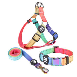 2025 INS populaire produits pour animaux de compagnie formation collares laisse copain ceinture chien harnais collier ensemble, nylon sangle chien harnais 3 pièces ensemble - Product Image 2