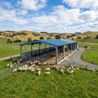 Structure en acier préfabriquée à côtés ouverts pour abri de moutons, grand abri pour bétail, certification CE pour l'élevage de moutons à grande échelle en Australie
