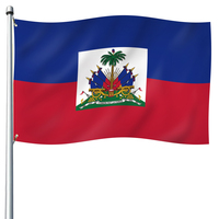 Drapeau personnalisé Flagnshow en gros, logo double face, bandana 3x5 pieds, drapeau sportif imprimé d'Haïti, drapeau national avec 2-4 œillets