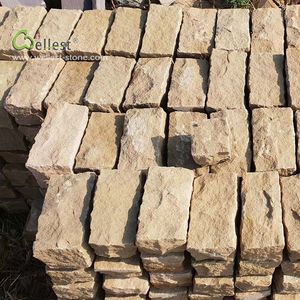 탬파 올드 글로리 크림 베이지 석회암 포장재 - Product Image 2