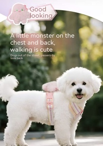 Arnés de pecho para perro, modelo nuevo, con muñeco desmontable, correa de tela de red transpirable para uso en exteriores - Product Image 6