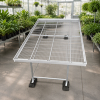 Table de pépinière mobile à roulettes en treillis métallique monocouche pour centre de jardinage, serre, avec structure en acier, assemblage rapide, OEM