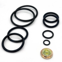 Kits de réparation Premium 20 à course courte avec joints toriques FKM haute performance, étanchéité OEM actionnée manuellement pour opérations de forage
