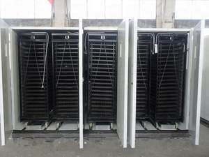 Incubateur et éclosoir <span class=keywords><strong>Amazon</strong></span> Swan pour grande industrie, 33792 œufs / Incubateurs pour 30 000 œufs à vendre - Product Image 6