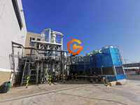 Turn-Key Oplossing Concentraat Drank Mangopulp Machine Passievrucht Ananas Pulp Druivensap Huisdier Vulmachines