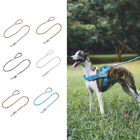 Laisse pour chien moderne, durable et flexible avec crochet, en nylon de haute qualité, idéale pour les promenades au parc et à la plage