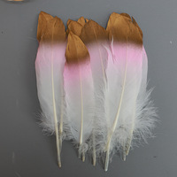 Plumes d'oie à pointe dorée, plumes d'oie naturelles teintées pour coiffure de fête, tenue de danse, accessoires faits main DIY