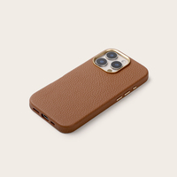 Étui de téléphone OEM de luxe en cuir véritable magnétique antichoc multi-couleurs pour 16 Pro Max