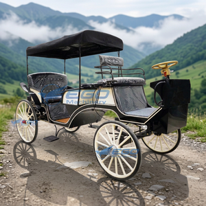 Chariot Électrique de Luxe Personnalisable Noir pour Mariages et Visites Touristiques / Wagon de Tourisme Extérieur – Vente Chaude, Haute Qualité - Product Image 4