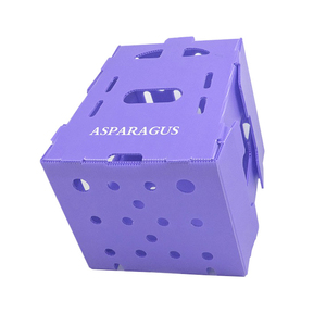 Không Thấm Nước Có Thể Gập Lại Sóng PP <span class=keywords><strong>Polypropylene</strong></span> Chất Liệu Hộp Sóng Nhựa Gấp Trái Cây Rau Hộp - Product Image 1