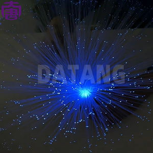 Prix Usine Lumières Nuit Fibre Optique 12V IP65 Intérieur/Extérieur Décoration Jardin Plantes Artificielles Haute Qualité Rechargeables - Product Image 2