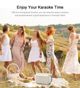 Muebles integrados pequeños altavoces portátiles inalámbricos para <span class=keywords><strong>Karaoke</strong></span> REPRODUCTOR DE Audio portátil escuela Loa Kéo <span class=keywords><strong>Karaoke</strong></span> con 2 micrófonos - Product Image 3