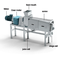 Natuurlijke Dubbele Schroef Hoge Opbrengst Appel Ananas Selderij Groenten Fruit Trage Koude Pers Juicer Machine