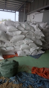 วัชพืชเลี้ยงปลาทะเล Eucheuma cottonii แบบแห้งตามธรรมชาติของ100% - Product Image 4