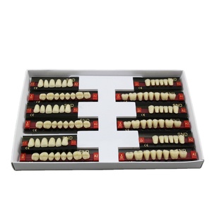 Dents en résine acrylique à deux couches, prothèses dentaires en résine synthétique - Product Image 1