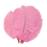 Plumes d'autruche colorées teintées à la main de haute qualité, 15-65 cm, pour la décoration de mariage et de fête