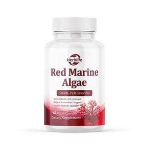 Cápsulas de Algas Marinas Rojas de 500 mg, Suplementos Naturales de Venta Caliente OEM ODM, para Apoyo Inmunológico y Antioxidante - Product Image 1