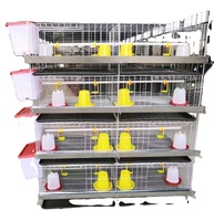 3 niveaux 90 à 240 oiseaux capacité petit bébé cage à poulet poussin couveuse cage à vendre sur le marché international