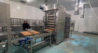 Système de chargement et de déchargement automatique de plateaux ADMF, équipement de chargement et de déchargement de plateaux, ligne de convoyage en acier inoxydable pour boulangerie, certifié CE