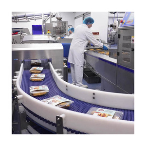 Bifa Multifunctionele Voeding Meervoudig Gebruik Kettingdoorspoelbare Plastic Gaasband Modulaire Transportbanden - Product Image 3