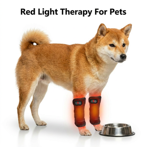 Ceinture de thérapie par lumière rouge professionnelle pour animaux de compagnie, pour soulager les douleurs aux jambes des chiens, chats et <span class=keywords><strong>chevaux</strong></span>, dispositif sans fil pour le bien-être des articulations canines - Product Image 1