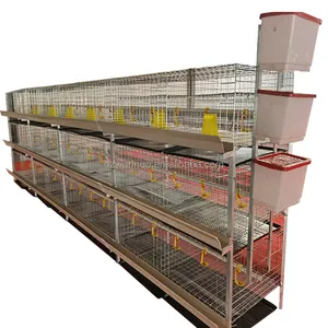 Poultry Farm Automatic Industrial Cheap Layer Large H Type Chicken Coop House Broiler Battery Raising Cage Chicken Cages System