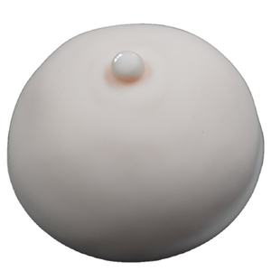 Satu Pasang Breast Form Areola Berlatih Kulit Payudara Dada untuk Tato Microblading - Product Image 1