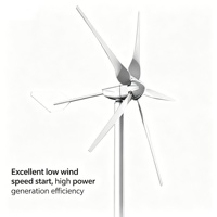 Éolienne Complémentaire Éolienne-Solaire MAX-1000W 24V, Petite Turbine Éolienne d'Ingénierie à Haute Efficacité avec Rotor de 1,6 m et Démarrage à 3,0 m/s de Vitesse du Vent