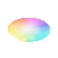 Parlaklık kısılabilir Modern avrupa tarzı tavan ışık ayarlanabilir Cct Wi Fi kontrol 24W 2400Lm tavan Led ışık