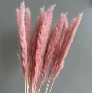 Nuevas y creativas flores secas preservadas <span class=keywords><strong>de</strong></span> lujo en varios colores rosa, hojas <span class=keywords><strong>de</strong></span> hierba y joyas ornamentales para decoración <span class=keywords><strong>de</strong></span> bodas - Product Image 2