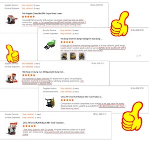 500Kg <span class=keywords><strong>Brouette</strong></span> Mini Dumper Avec Stratton Mini Site Dumper Mini Transporter Track Carrier Avec Basculement Hydraulique - Product Image 6