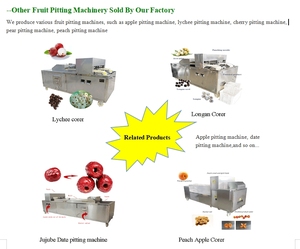 เครื่องแยกเมล็ดผลไม้เชิงพาณิชย์สำหรับอุตสาหกรรม พร้อมมอเตอร์กำลังไฟ 2.2 กิโลวัตต์ - Product Image 5