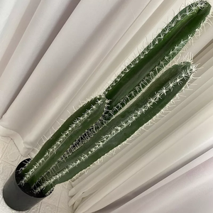Vente directe d'usine <span class=keywords><strong>Cactus</strong></span> artificiel décoration intérieure et extérieure - Product Image 4