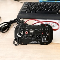 Offres Spéciales : Carte Audio Hi-Fi 30W pour Voiture, Amplificateurs de Puissance 12V/220V avec Décodage USB, TF, FM pour Subwoofer 5-6 Pouces DIY