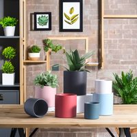 Décoration de jardin de Pot de Cactus en céramique émaillée de couleur de haute qualité pour la plantation de fleurs Design mignon pour les hôtels de bureau