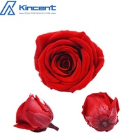 Buket bunga DIY grosir bunga yang diawetkan kualitas 5-6cm