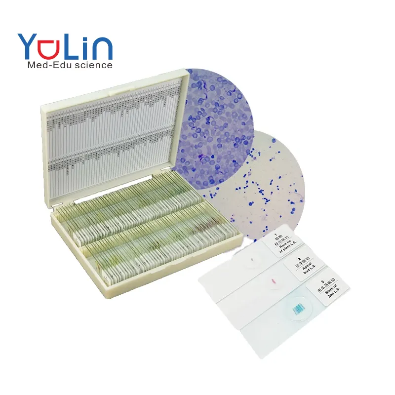 Yulin100個セットサポートカスタマイズParasitology準備顕微鏡生物スライド