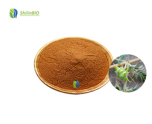SLBIO 純天然トリビュラス・テレストリス抽出物粉末 40%-90% 総サポニン含有 - Product Image 3