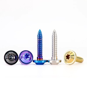 Factory Direct Sales GR5 Titanium <strong>Self</strong>-<strong>tapping</strong> <strong>Screw</strong> - Product Image 2