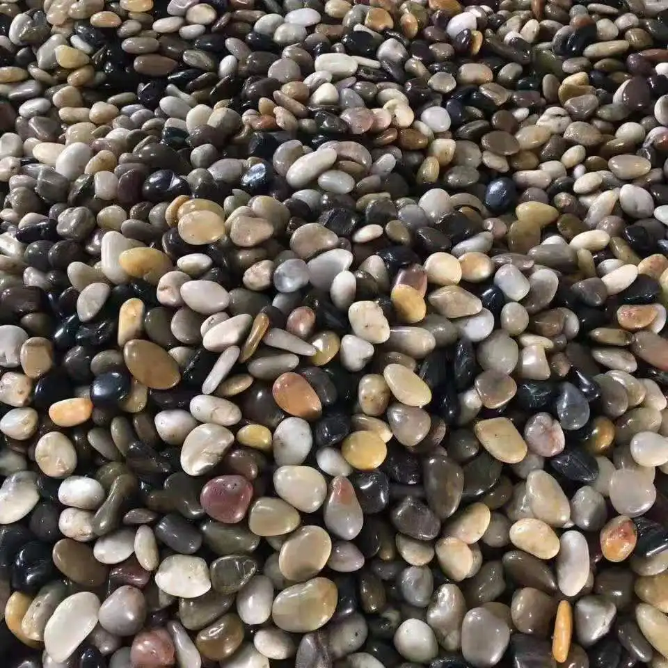 Mixed color pebbles stone
